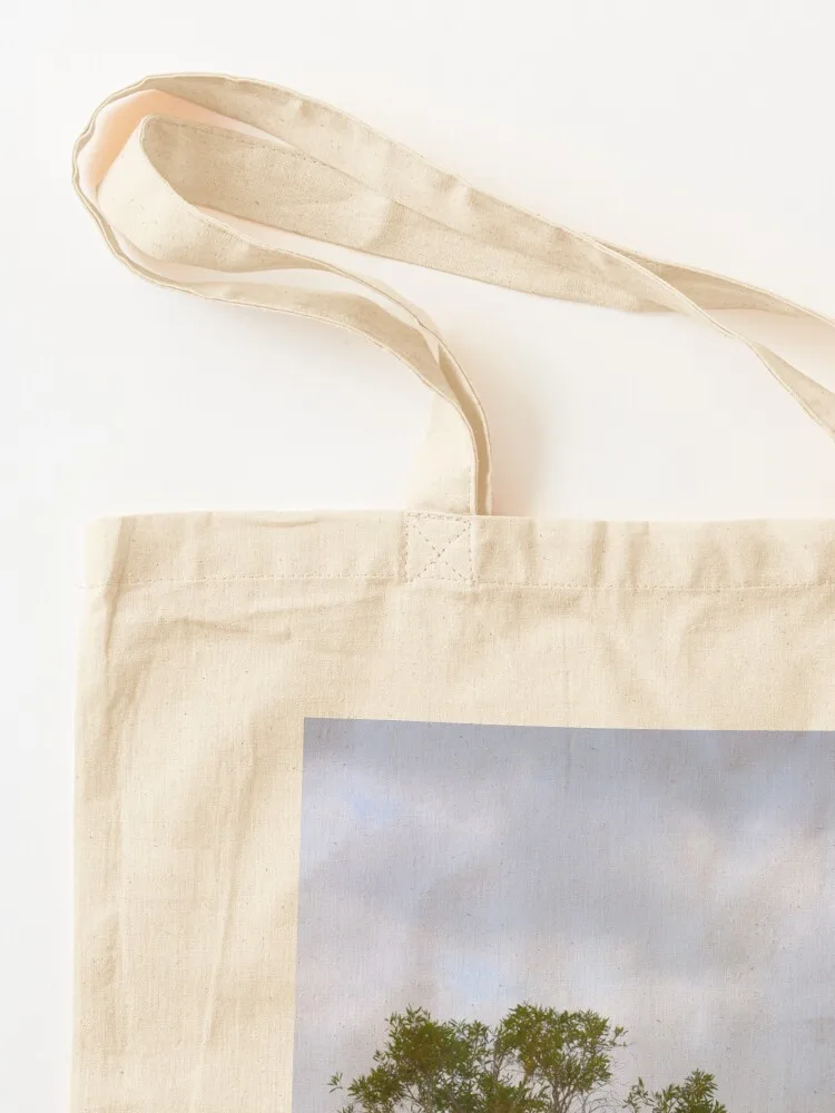 Albero al Lago Mackenzie, Fras - Women'S Fashion Queensland recensione e prezzo